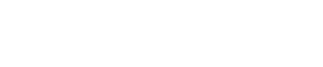 digiseller logo